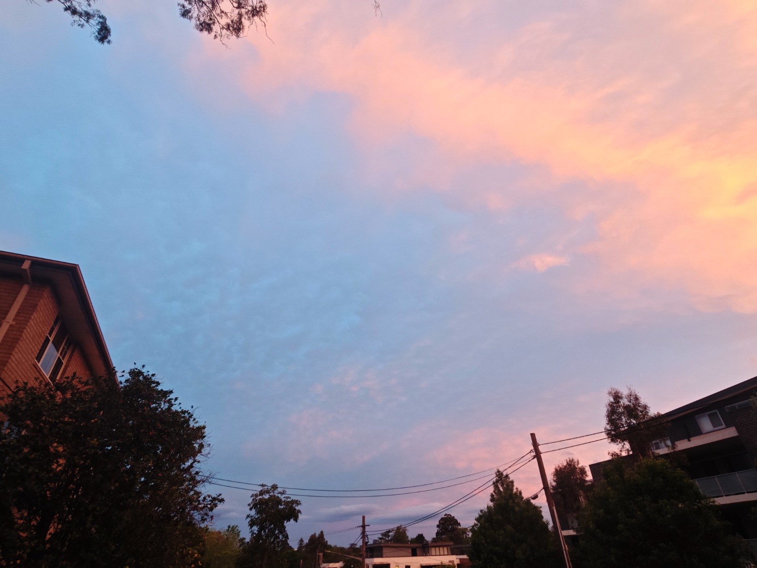 IMG_20251009_190810.jpg